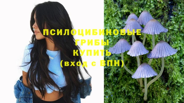 дурь Армянск